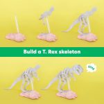 KiwiCo Dinosaur Fossil Dig Kit, STEM Paleontology Science Set for Kids Ages 6+, Excavate and Build Skeleton, Facts Poster - Image 6