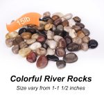 Pulovin 15 lbs River Rocks for Plants, 1-1 1/2 inch Decorative Stones | Polished Garden Rocks Outdoor Landscaping, Large Natural Stone for Walkways, Yard, Vases, Crafts - Image 3