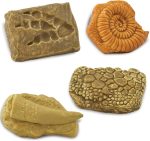 Safari Ltd. Ancient Fossils TOOB - Figurines: Dino Footprint, Giant Crab, Ammonite, Raptor Claw, T-Rex Tooth, Frog Skeleton, Sea Scorpion & More - Educational Toys for Boys, Girls & Kids Ages 3+ - Image 5