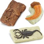 Safari Ltd. Ancient Fossils TOOB - Figurines: Dino Footprint, Giant Crab, Ammonite, Raptor Claw, T-Rex Tooth, Frog Skeleton, Sea Scorpion & More - Educational Toys for Boys, Girls & Kids Ages 3+ - Image 7