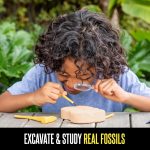 Educational Insights GeoSafari Fossil Excavation Kit for Kids - Image 4