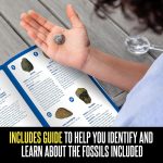 Educational Insights GeoSafari Fossil Excavation Kit for Kids - Image 5