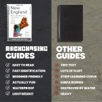 New England Rocks And Minerals Identification Field Guide | Waterproof - Image 6