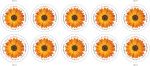 2022 Global Forever International Mail African Daisy Postage Stamps (1 Sheet, 10 Stamps) - Image 2