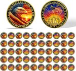 50Pcs Military Veteran Challenge Coin Bulk, Service Tribute | Honoring All Who Served, Thank You for Your Service Coin, Veterans Day Gifts Bulk, Military Retirement & Homecoming Gifts - Image 2
