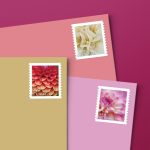 Dahlias 2025 (Book of 20) First-Class Mail Forever Postage Stamps - Image 2