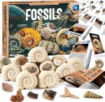 Gamerside Fossil Digging Kit, 12 Real Fossils & Dino Bones & Mess-Free Mat | Includes Learning Guide with Fossils Facts, Excavation Tools, Fun Paleontology Activity, Educational STEM Toys for Kids 6+ - Image 2