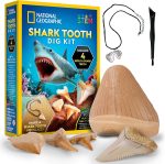 National Geographic Shark Tooth Fossil Dig Kit and Necklace for Kids | Replica Shark Teeth & Fossils, Make a Shark Tooth Necklace, Excavation Tools, Paleontology Activity, STEM Learning - Image 2