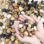 Pebbles Polished Gravel, Natural Polished Mixed Color Stones,0.5-1.2inch Small Decorative River Rock Stones 2 Pounds (32-Oz) - Image 2