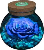 Preserved Real Roses with Colorful Mood Light Wishing Bottle, Eternal Rose，Never Withered Flowers, Table Decor,Christmas Anniversary Valentine's, Blue 4.3inch, 1pcs - Image 2
