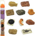 Safari Ltd. Ancient Fossils TOOB - Figurines: Dino Footprint, Giant Crab, Ammonite, Raptor Claw, T-Rex Tooth, Frog Skeleton, Sea Scorpion & More - Educational Toys for Boys, Girls & Kids Ages 3+ - Image 2