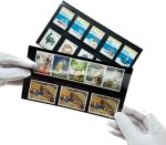 Stamp Collecting Mount - Philatelic Display Black Card Sleeves, 2 Row Protective Cover (18 pcs) for Collection, Storage & Collecting Supplies, Compatible with Postage Hinges and Stamp Mounts - Image 2