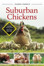 Suburban Chickens: Raising Your Flock on Less Than One Acre - Image 2