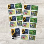 United States Postal Service Garden Delights (Booklet of 20) First-Class Mail Forever Postage Stamps Scott #5845-5848 - Image 2